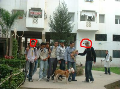 la suis avec mes chien et mes amis